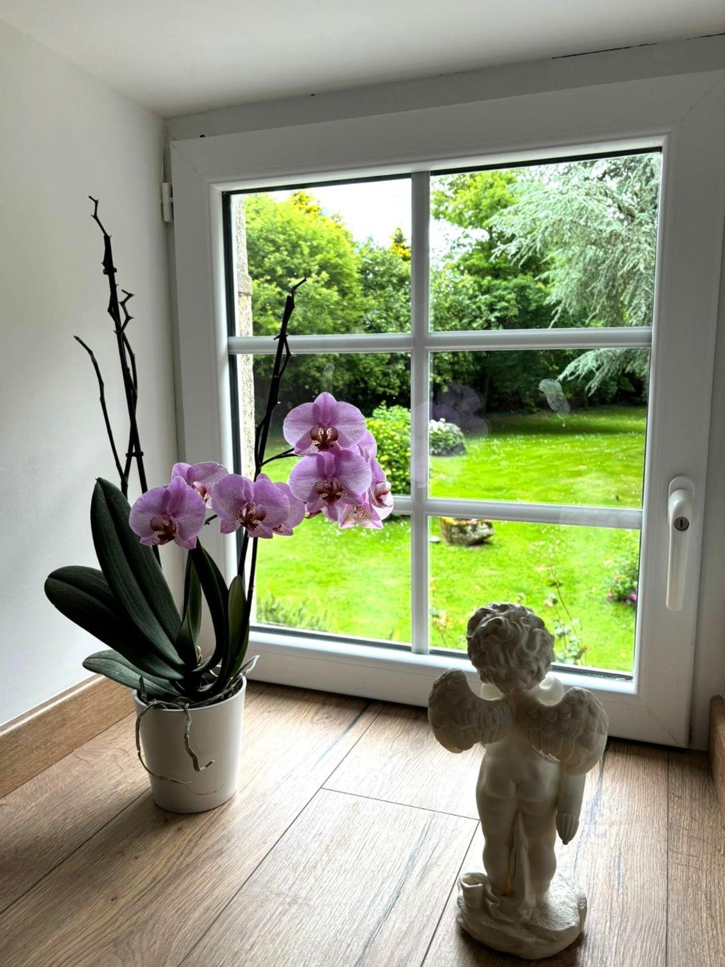 La Suite D'Anna Rohan Extérieur photo