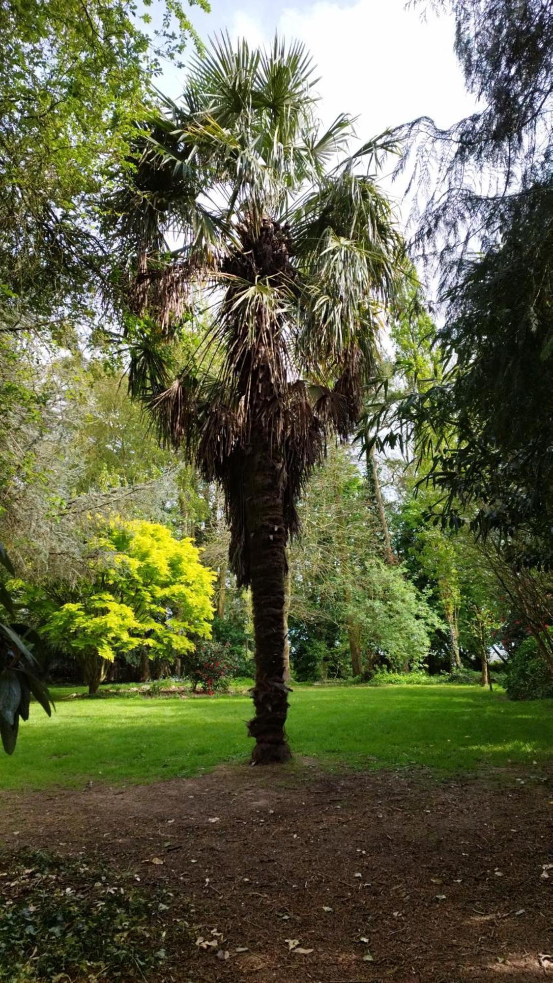 La Suite D'Anna Rohan Extérieur photo